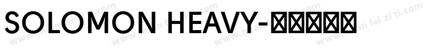 SOLOMON HEAVY字体转换